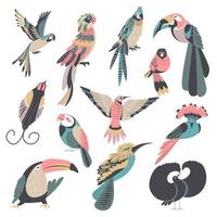 Exotic and tropical birds, avian animals vector