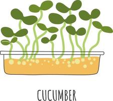 creciente microgreen con sabor único, deliciosa comida vegana y vegetariana, además de platos y ensaladas. comida natural, brotes de pepino verde. dieta y nutrición saludable. vector en estilo plano