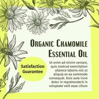 Organic chamomile essential oil, promo banner vector