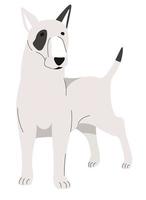 Bull terrier breed of dogs, puppy canine animal vector