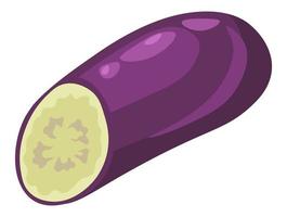 Aubergine plant, eggplant cut for cooking vector