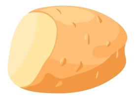 Whole potato cut for cooking, preparing dishes vector