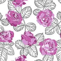 Peonies or roses with leaves monochrome sketch vector