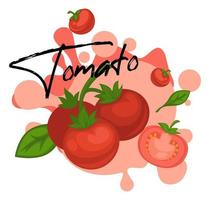 Tomato fresh vegetable with basil leaves banner vector