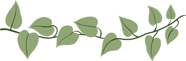 simplicidade ivy desenho à mão livre design plano. png