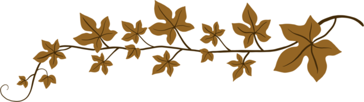 Simplicity ivy freehand drawing flat design. png