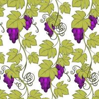 Grapes branches, harvesting and winemaking print vector