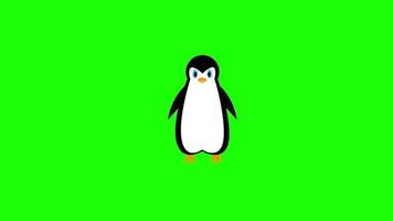 penguin dance Cartoon Big video