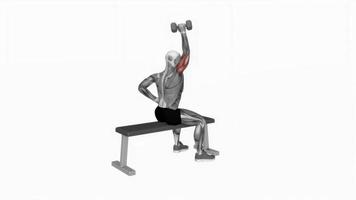 Animated Fitness Stock Video Footage for Free Download Animated Fitness Stock Video Footage for Free Download