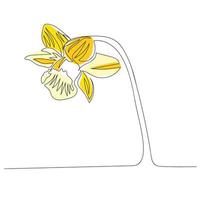 Narcissus one line drawing. Continuous line flower. Hand-drawn minimalist illustration. Vector. vector