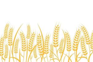 Agriculture wheat vector