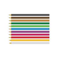 Set of colored pencils on white background vector