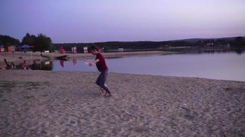 Porträt eines kleinen verspielten Hundelabradors am Strand video