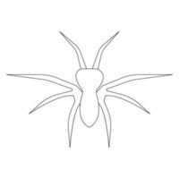 vector de ilustración de icono de araña