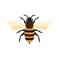 honey bee flat design vector illustration. Cute Bumble Bee. bumblebee character logo mascot