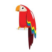 parrot cartoon character vector illustration