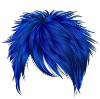 trendy woman short  hairs dark blue colors . fringe . fashion beauty style . realistic  3d . vector