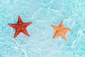 Tropical white sand with red starfish in clear water photo