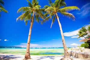 playa tropical con hermosas palmeras y arena blanca foto