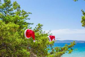 Red christmas hat on on branch background turquoise sea photo