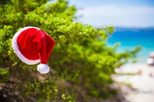 Red christmas hat on on branch background turquoise sea photo