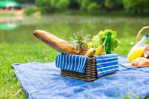 cesta de picnic con frutas, pan y botella de vino blanco. foto