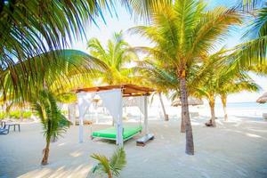 Paradise view of exotic tropical empty sandy beach with umbrellas and beach beds photo