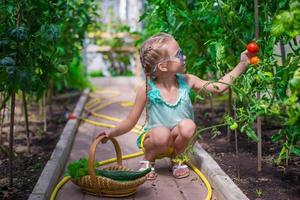 Niña recogiendo pepinos y tomates en invernadero foto