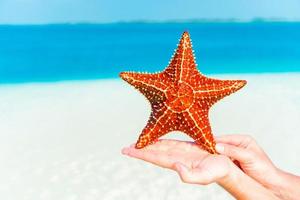 arena blanca tropical con estrellas de mar rojas en el fondo de las manos el mar foto