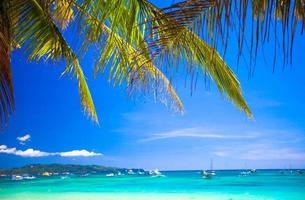 playa tropical con hermosas palmeras y arena blanca foto