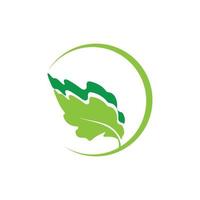 Green leaf illustration nature logo and symbol design vector