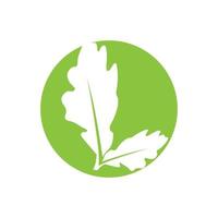 Green leaf illustration nature logo and symbol design vector