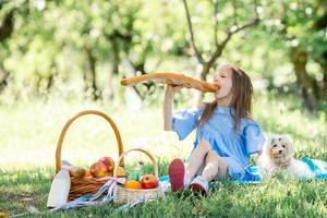 Little kid with big bread on picnic in the park photo