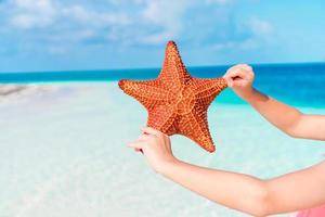 playa tropical con una hermosa estrella de mar roja foto