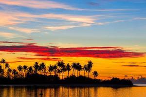 Dark silhouettes of palm trees and amazing cloudy sky at sunset photo