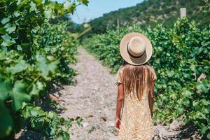 mujer en el viñedo en el día del sol foto