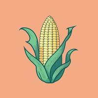 corn plant cultivation with ripe corn cobs
