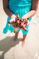 manos de niños sosteniendo estrellas de mar foto