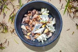 Beautiful colorful seashells in basin on a tropical island photo