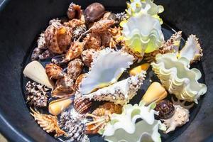 Beautiful colorful seashells in a basin on tropical island photo