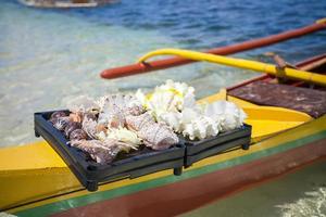 Beautiful colorful seashells in a basin on tropical island photo