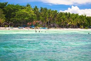 Panoramic view of perfect beach with green palms,white sand and turquoise water photo