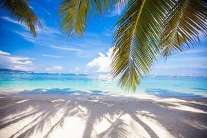 Perfect white beach with green palms and turquoise water photo
