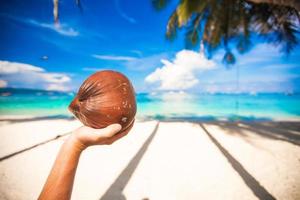 Large coconut in hand background turquoise sea and white beach photo