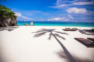 Tropical beach with beautiful palms and white sand, Philippines photo