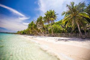 Tropical beach with beautiful palms and white sand, Philippines photo