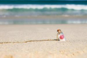 Small Souvenir bottle in white sand background the turquoise sea photo
