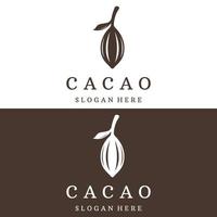 diseño de plantilla de logotipo de planta de vaina de cacao de chocolate, grano de cacao, fondo aislado de planta orgánica exótica. vector