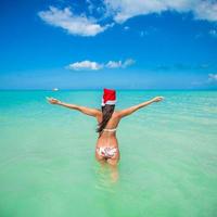 Back view of beautiful young woman in santa hat photo