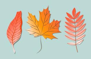 Variety of colorful trendy autumn leaves. Vector illustrations for web, app and print. Elegant shapes floristic isolated gradient leaves. Forest, botanical, minimalistic floral set.